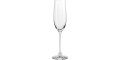 Набір бокалів для шампанського 0,210л (12шт в уп) Salute, Spiegelau - 21518