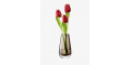 Ваза для квітів коричнева 14см Flower Colour, LSA international - 29725