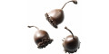 Цукерки Вишня в чорному шоколаді 200г, Chocinis - 48616