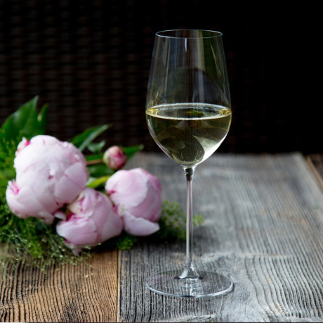 Набір келихів для білого вина Riesling/Zindafel 350мл (4шт в уп) - Q1902