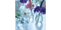 Ваза для квітів прозора 9,5см Ø8,6см Flower, LSA international - 24212