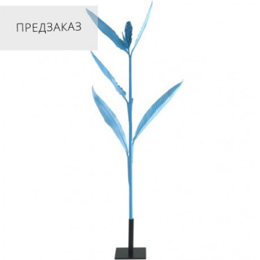 Імбирне дерево світло блакитне, Pols potten - 35674