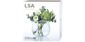 Ваза для квітів прозора 30см Collar, LSA international - 42041